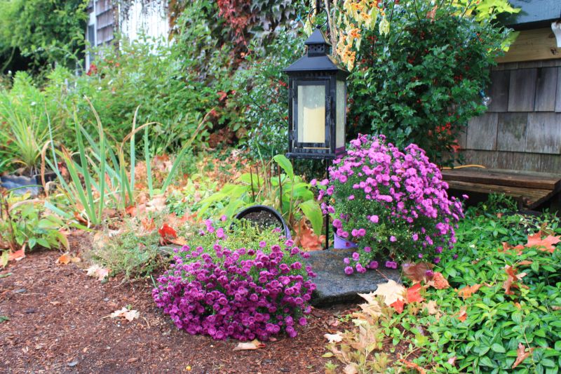 Black Mulch Installation in Ventura County, CA