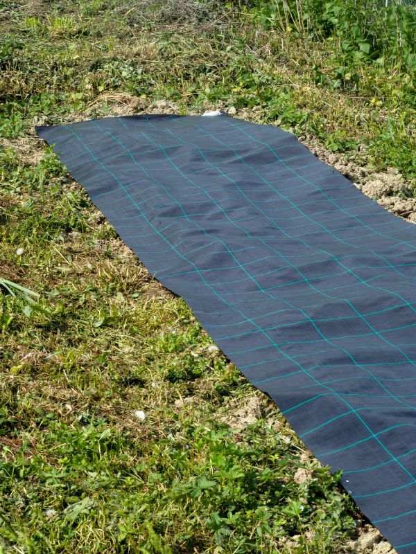 Black Mulch Installation in Honolulu, HI