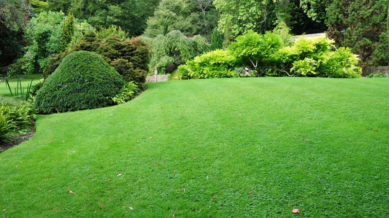 Business Landscape Design in Ventura County, CA
