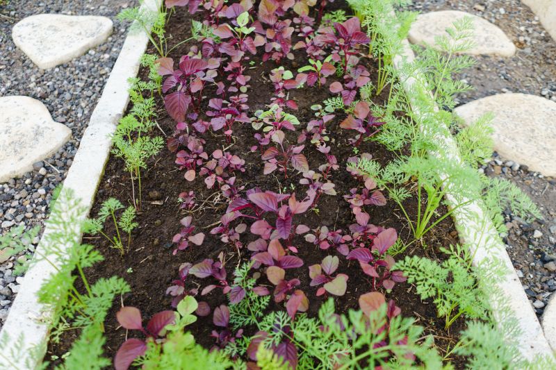 Garden Curbing Installation in Citrus County, FL