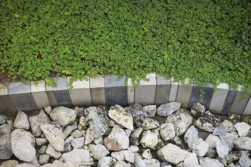 Landscape Curbing Replacement in Honolulu, HI