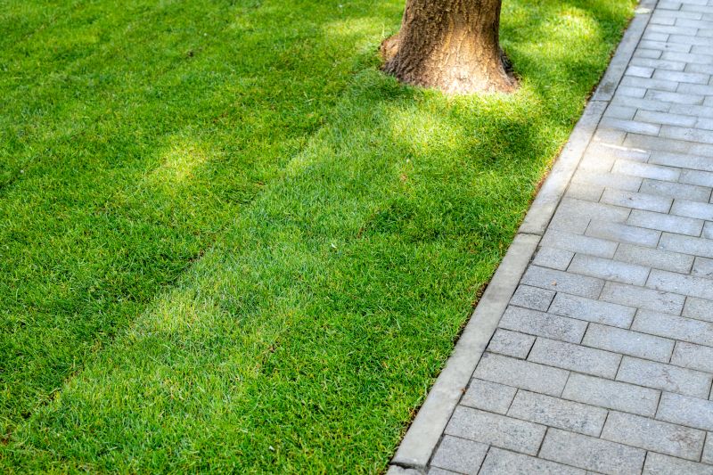 Lawn And Garden Installation in Ventura County, CA