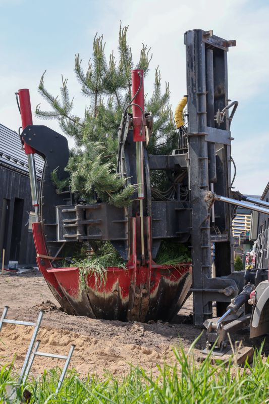 Orchard Planting in Ventura County, CA