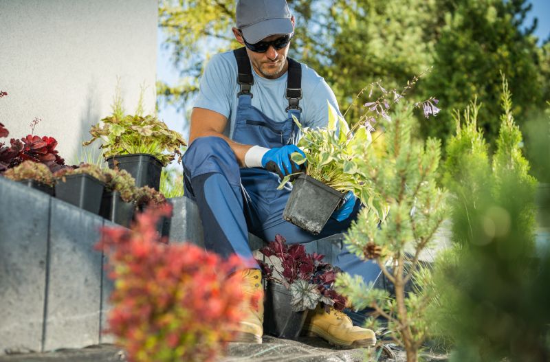 Perennials Planting in Ventura County, CA