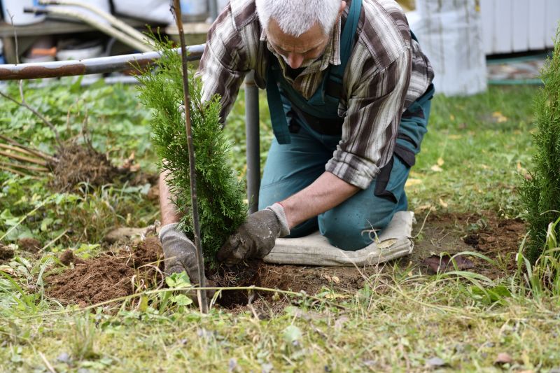 Shrub Installation in Ventura County, CA