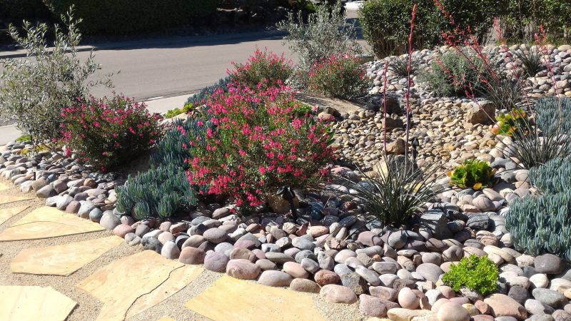 Softscaping Service in Ventura County, CA