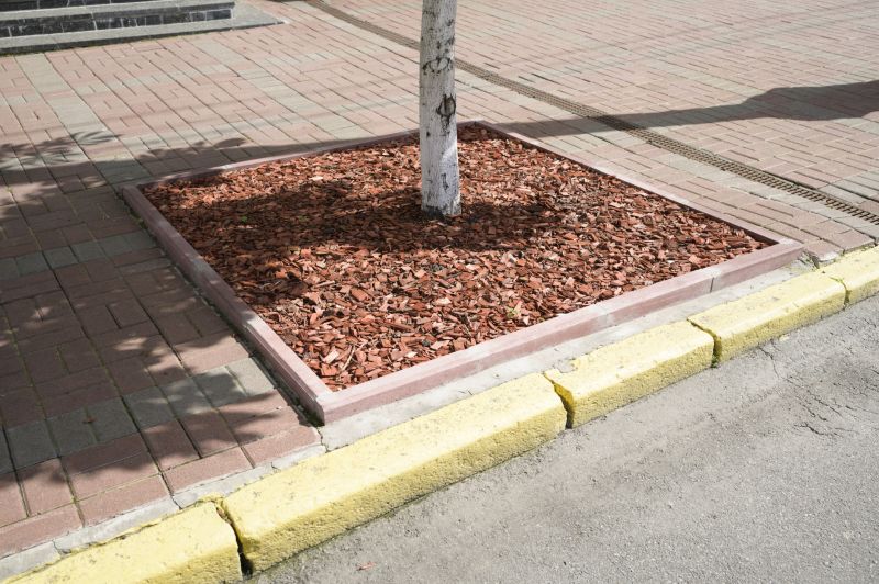 Tree Curbing Installation in Citrus County, FL