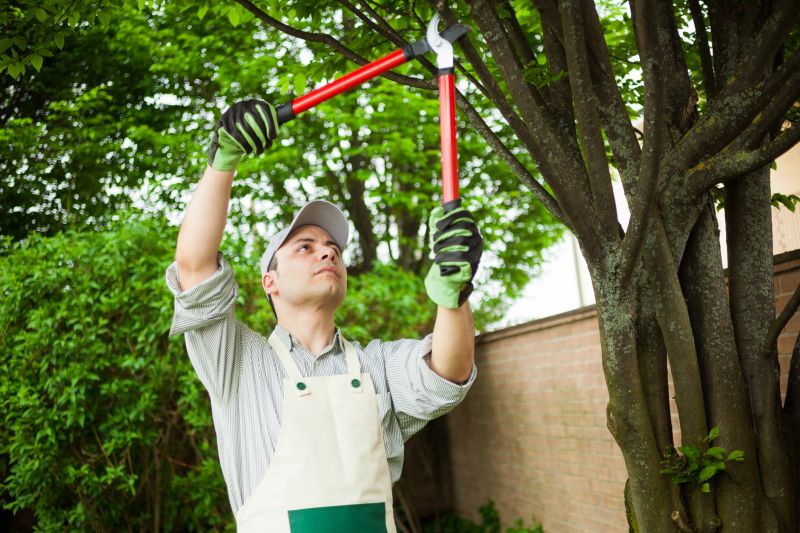 Urban Tree Planting Services