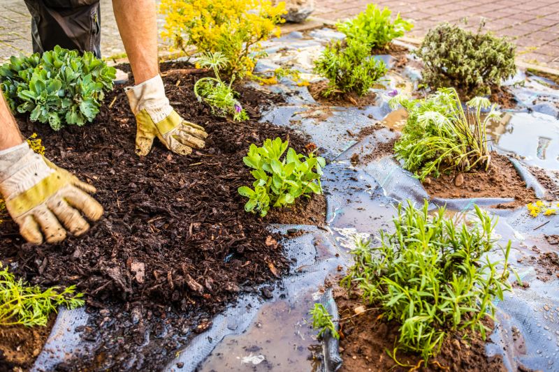 Black Mulch Installation in Ventura County, CA