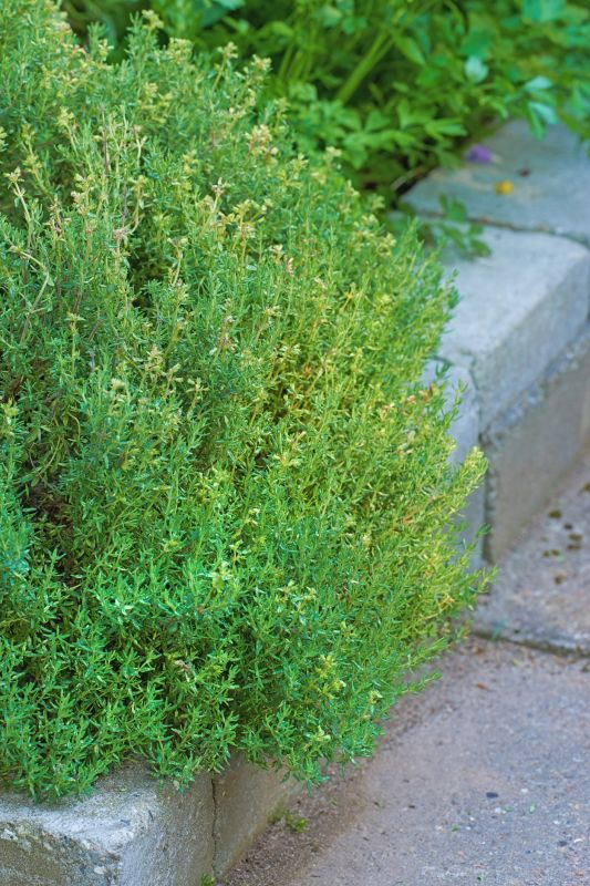 Garden Curbing Installation in Citrus County, FL