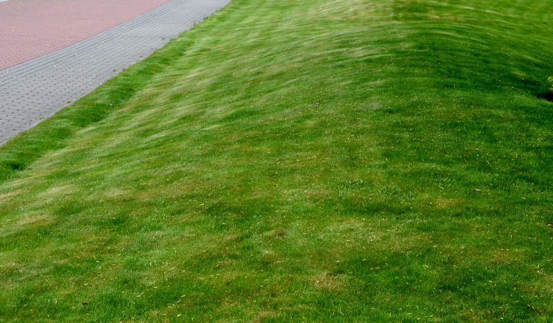 Grass Patching in Honolulu, HI