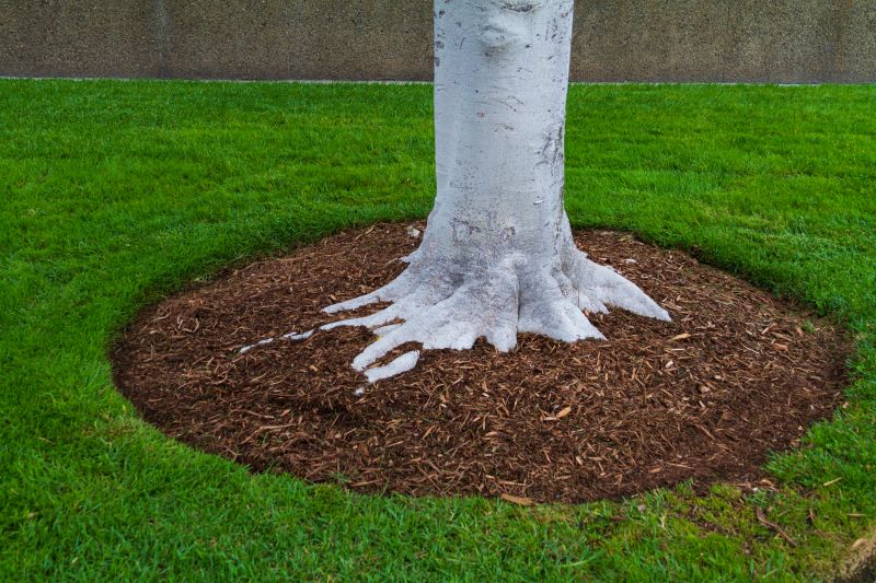 Residential Mulching in Honolulu, HI